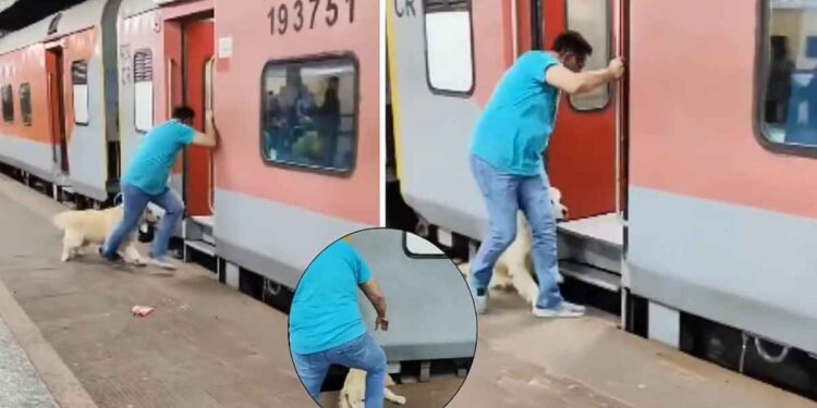 कुत्र्यासह धावत्या ट्रेनमध्ये चढण्याचा प्रयत्न, पण पुढे घडलं ते धक्कादायकच, पहा व्हिडीओ