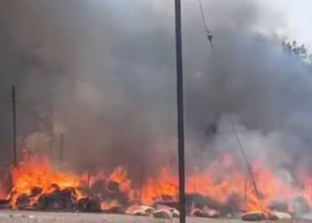 चाळीसगावात मिरची बाजाराला मोठी आग, ५० लाखाच्यावर नुकसान