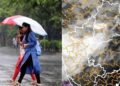 महाराष्ट्रावर अवकाळीचे संकट कायम! आज या जिल्ह्यांना अलर्ट जारी