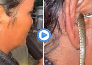 बापरे! महिलेच्या कानात शिरला साप ; थरकाप उडवणारा व्हिडीओ व्हायरल