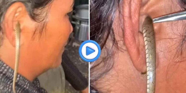 बापरे! महिलेच्या कानात शिरला साप ; थरकाप उडवणारा व्हिडीओ व्हायरल