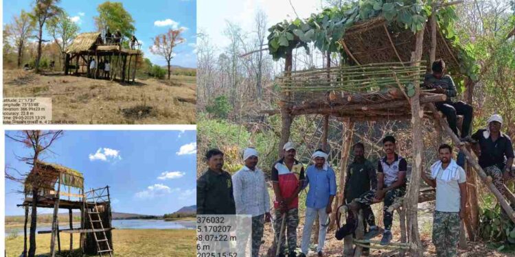 बुद्ध पौर्णिमेनिमित्त यावल वनविभागात ‘निसर्ग अनुभव’ कार्यक्रम – ३९ मचाणांद्वारे होणार प्राणीगणना