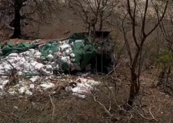 VIDEO : धडगाव घाटात मालवाहतूक ट्रक १०० फूट खोल दरीत कोसळला