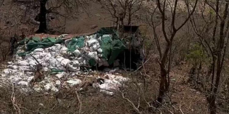 VIDEO : धडगाव घाटात मालवाहतूक ट्रक १०० फूट खोल दरीत कोसळला