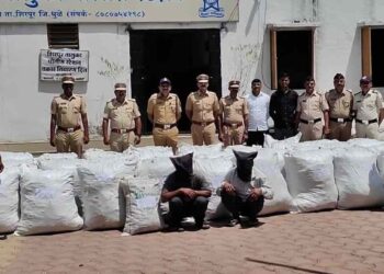 जंगलात लपवून ठेवलेला 70 लाखाचा गांजा जप्त ; दोघांना अटक
