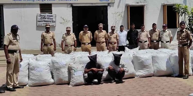 जंगलात लपवून ठेवलेला 70 लाखाचा गांजा जप्त ; दोघांना अटक