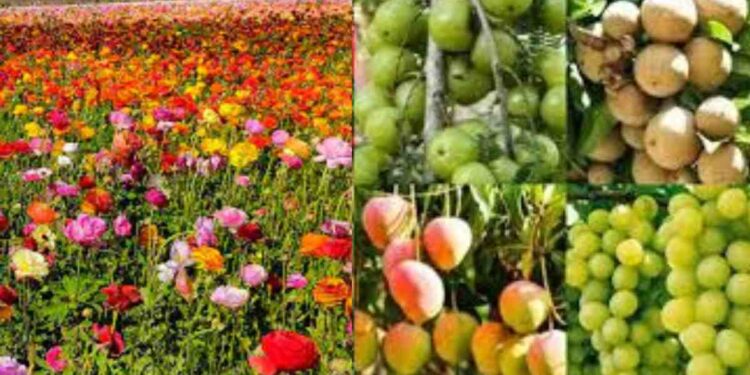 महात्मा गांधी राष्ट्रीय ग्रामीण रोजगार हमी योजनेतून शेतकऱ्यांना फळबाग व फुलशेती लागवडीसाठी आवाहन