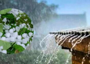 सावधान! राज्यातील १५ जिल्ह्यांना हवामान विभागाचा यलो अलर्ट