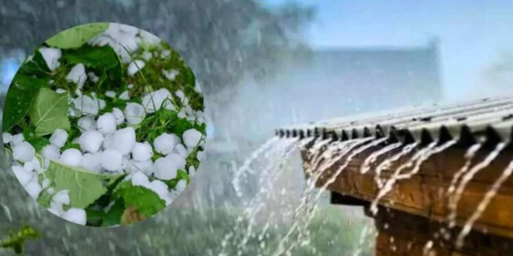 सावधान! राज्यातील १५ जिल्ह्यांना हवामान विभागाचा यलो अलर्ट