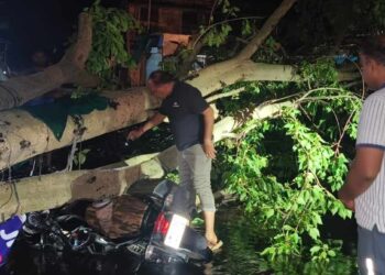 जळगाव जिल्ह्यात वादळी पावसामुळे तिघे ठार, २१ घरांचे नुकसान, पंचनामे सुरू