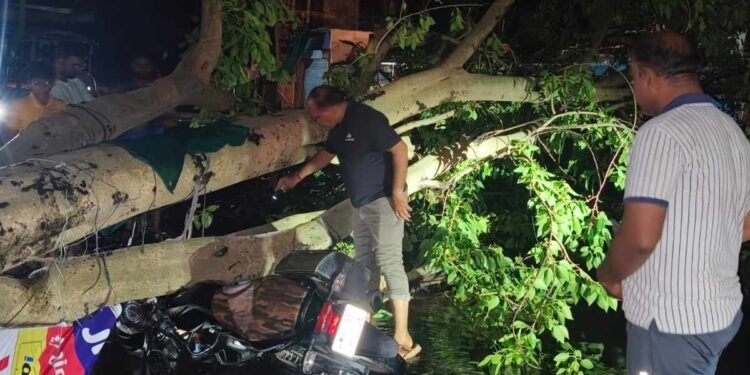 जळगाव जिल्ह्यात वादळी पावसामुळे तिघे ठार, २१ घरांचे नुकसान, पंचनामे सुरू