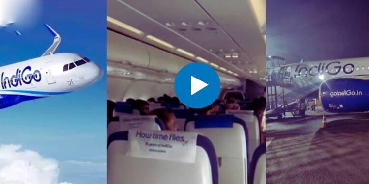 दिल्लीत धुळीच्या वादळात इंडिगोचे विमान आकाशातच अडकलं ; थरारक व्हिडिओ व्हायरल