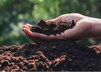 मिश्र खते तयार करा घरच्या घरी – हाच रामबाण उपाय ठरेल संयुक्त खतावरी!