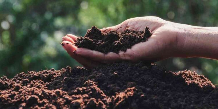 मिश्र खते तयार करा घरच्या घरी – हाच रामबाण उपाय ठरेल संयुक्त खतावरी!