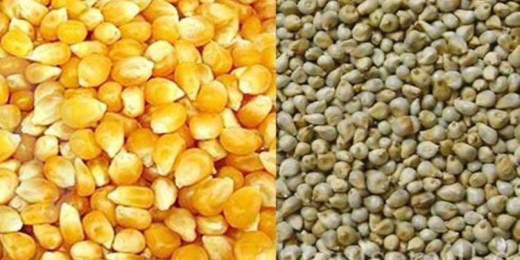 ज्वारी, मका व बाजरी खरेदीसाठी शेतकरी ऑनलाईन नोंदणी मुदतीत वाढ ; ही आहेत शेवटची तारीख?