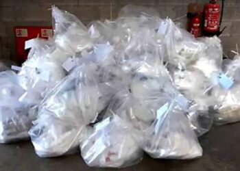 जळगाव जिल्ह्यात ३९ किलो अँफेटामाइन ड्रग्स साठा जप्त, किंमत ६० कोटी; कारवाईने खळबळ