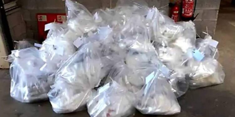 जळगाव जिल्ह्यात ३९ किलो अँफेटामाइन ड्रग्स साठा जप्त, किंमत ६० कोटी; कारवाईने खळबळ