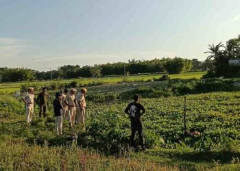 बिहारमध्ये देशाला हादरवून सोडणारी घटना ; एकाच कुटुंबातील 5 सदस्यांना जिवंत जळालं