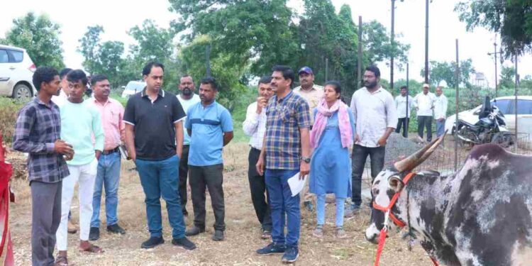 टोळी खुर्द येथे जिल्हाधिकारी आयुष प्रसाद यांची लंपी बाधित वळूच्या गोठ्याला भेट