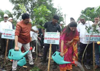 एक पेड माँ के नाम अभियानांतर्गत चोरवडमध्ये 2000 झाडांचे वृक्षारोपण