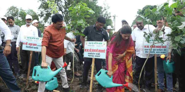 एक पेड माँ के नाम अभियानांतर्गत चोरवडमध्ये 2000 झाडांचे वृक्षारोपण