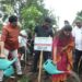 एक पेड माँ के नाम अभियानांतर्गत चोरवडमध्ये 2000 झाडांचे वृक्षारोपण
