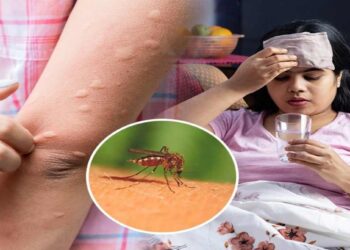 आपला परिसर, आपलं आरोग्य – चला, किटकजन्य आजारांवर एकत्रित लढा देऊया