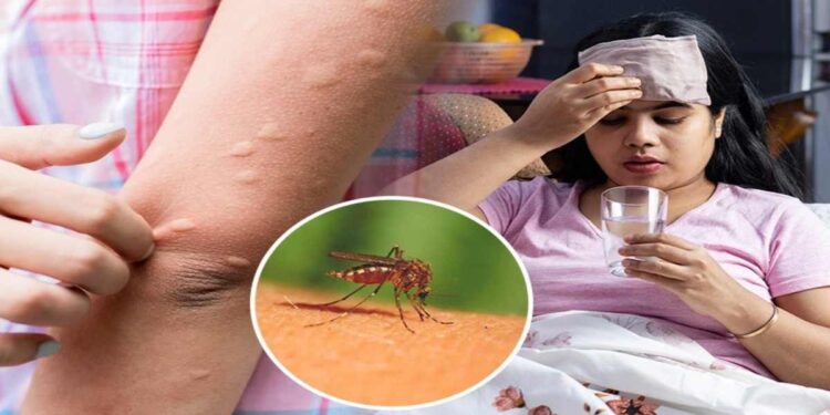 आपला परिसर, आपलं आरोग्य – चला, किटकजन्य आजारांवर एकत्रित लढा देऊया