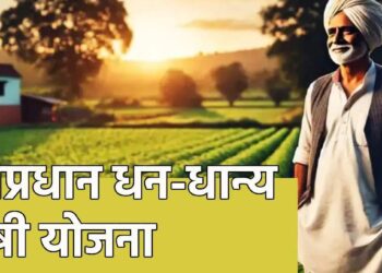 केंद्राकडून प्रधानमंत्री धन-धान्य कृषी योजनेला मंजुरी; शेतकऱ्यांना नेमका काय फायदा होणार? जाणून घ्या..