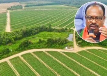 राज्यात नागरी भागात तुकडेबंदी कायदा रद्द ; लाख शेतकऱ्यांना दिलासा