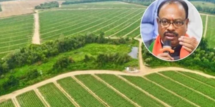 राज्यात नागरी भागात तुकडेबंदी कायदा रद्द ; लाख शेतकऱ्यांना दिलासा