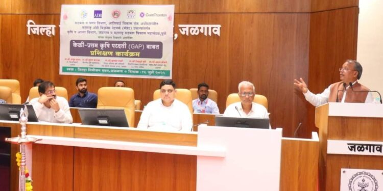 निर्यातक्षम केळी लागवडीसाठी शेतकऱ्यांना दिली नवी दिशा