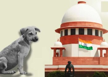 भटक्या कुत्र्यांबद्दल सर्वोच्च न्यायालयाचा मोठा निर्णय ; संपूर्ण देशासाठी दिला हा महत्वपूर्ण आदेश…