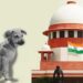 भटक्या कुत्र्यांबद्दल सर्वोच्च न्यायालयाचा मोठा निर्णय ; संपूर्ण देशासाठी दिला हा महत्वपूर्ण आदेश…
