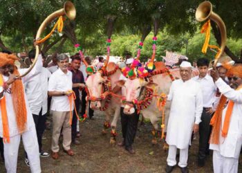 जैन हिल्स येथे पोळा उत्साहात