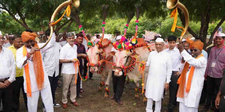 जैन हिल्स येथे पोळा उत्साहात