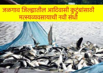 जळगाव जिल्ह्यातील आदिवासी कुटुंबांसाठी मत्स्यव्यवसायाची नवी संधी