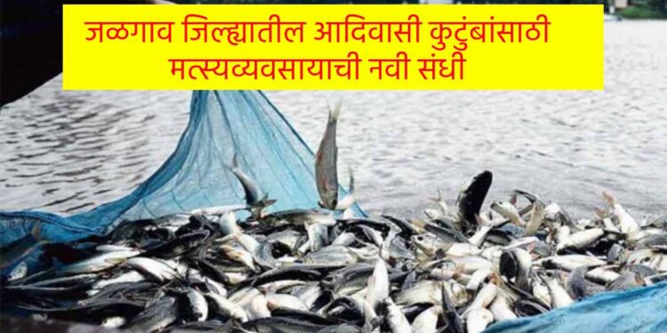 जळगाव जिल्ह्यातील आदिवासी कुटुंबांसाठी मत्स्यव्यवसायाची नवी संधी
