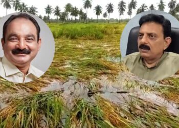 बुलडाण्याचे पालकमंत्री हरवले हो! शरद पवार गटाने पोलिसात तक्रार दिल्याने खळबळ