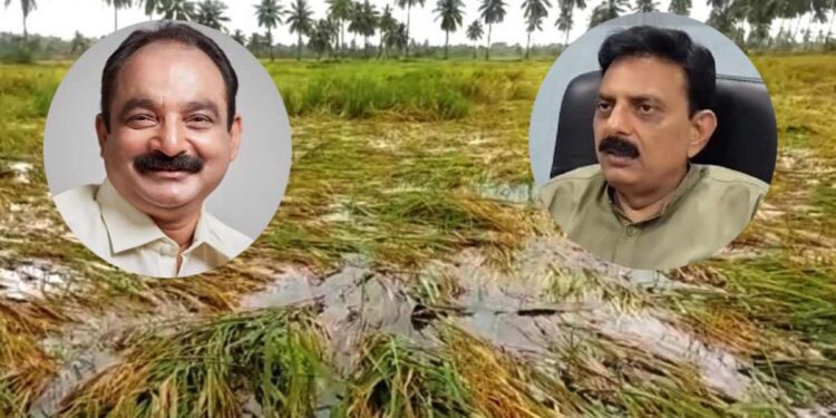 बुलडाण्याचे पालकमंत्री हरवले हो! शरद पवार गटाने पोलिसात तक्रार दिल्याने खळबळ