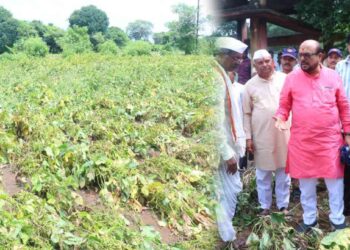 अतिवृष्टीमुळे शेती पिकांचे नुकसान झालेल्या शेतकऱ्यांना शासनातर्फे सर्वोतोपरी मदत दिली जाईल- पालकमंत्री गुलाबराव पाटील