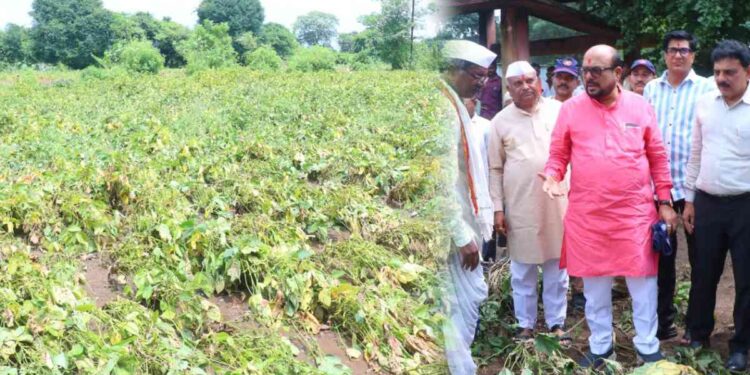 अतिवृष्टीमुळे शेती पिकांचे नुकसान झालेल्या शेतकऱ्यांना शासनातर्फे सर्वोतोपरी मदत दिली जाईल- पालकमंत्री गुलाबराव पाटील