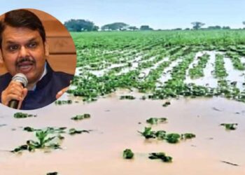 पूरग्रस्तांच्या पाठिशी शासन खंबीरपणे उभे – मुख्यमंत्री देवेंद्र फडणवीस