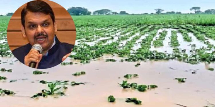 पूरग्रस्तांच्या पाठिशी शासन खंबीरपणे उभे – मुख्यमंत्री देवेंद्र फडणवीस