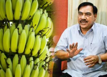 जिल्ह्यात तीन मंत्री असूनही केळी उत्पादक फळपीक विम्यापासून वंचित का? नाथाभाऊंचा सवाल
