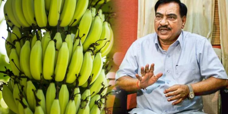 जिल्ह्यात तीन मंत्री असूनही केळी उत्पादक फळपीक विम्यापासून वंचित का? नाथाभाऊंचा सवाल