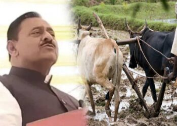 लोकांना कर्जमाफीचा नाद ; चोपड्यात सहकारमंत्र्यांचं शेतकऱ्यांच्या जखमेवर मीठ चोळणारं वक्तव्य