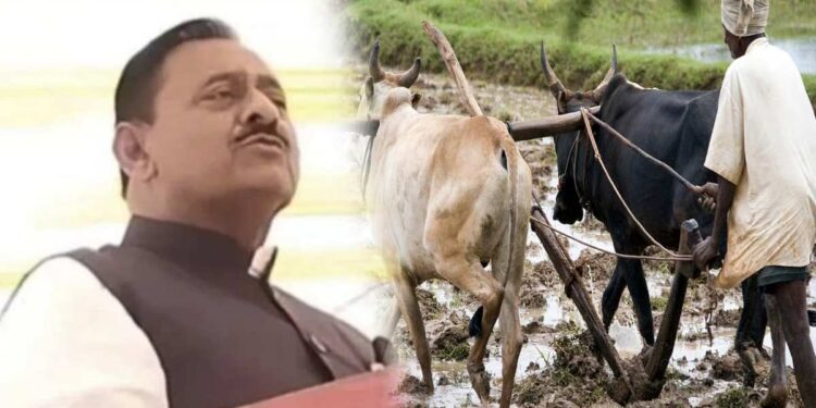 लोकांना कर्जमाफीचा नाद ; चोपड्यात सहकारमंत्र्यांचं शेतकऱ्यांच्या जखमेवर मीठ चोळणारं वक्तव्य