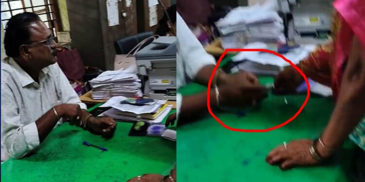 तहसील कार्यालयातील भ्रष्टाचार चव्हाट्यावर ; अव्वल कारकूनचा पैसे घेतानाचा व्हिडीओ व्हायरल