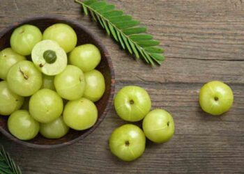 दररोज फक्त एक आवळा खा ; हे 5 आश्चर्यकारक आरोग्य फायदे मिळतील